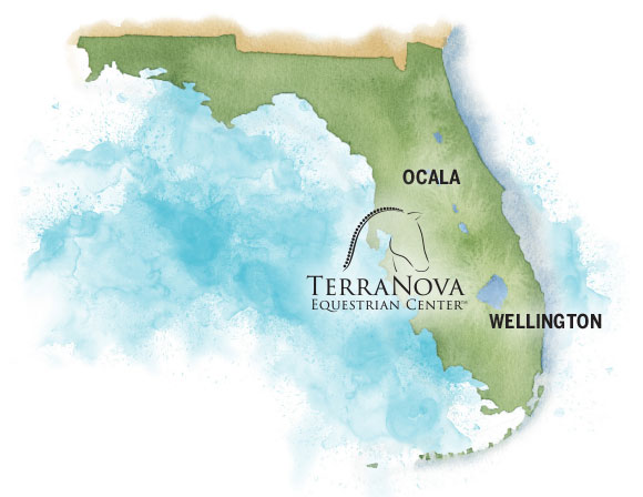 The Estates at TerraNova