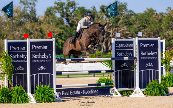 TerraNova Equestrian Grand Prix